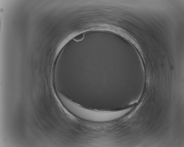 X0000086301533200704091008