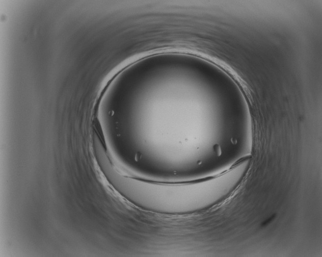 X0000086301534200704091008