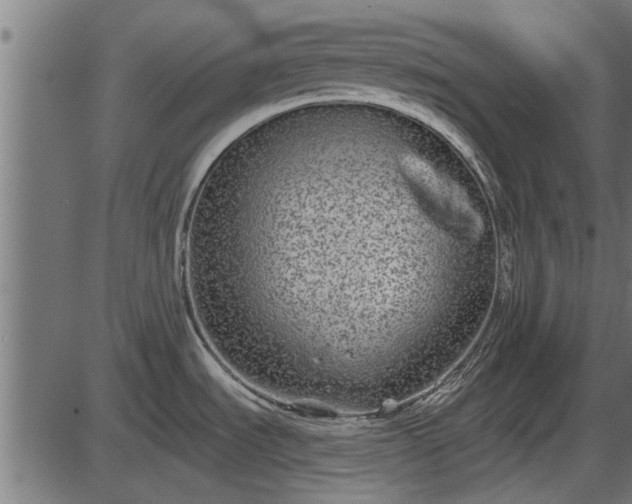 X0000086301535200704091008