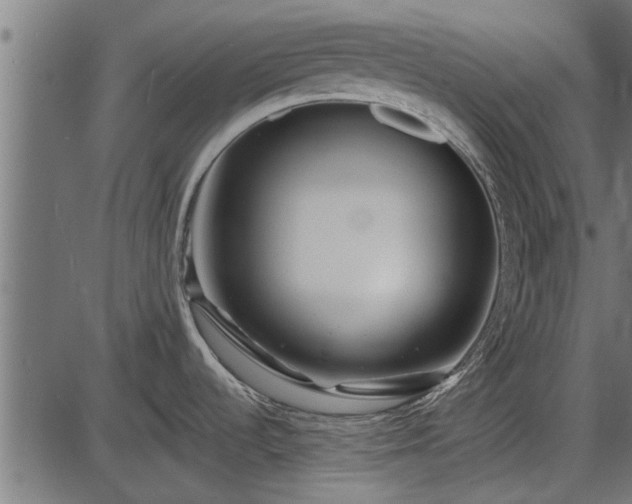 X0000086301536200704091008