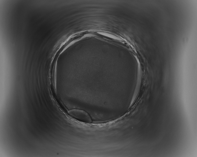 X0000086300002200704131619