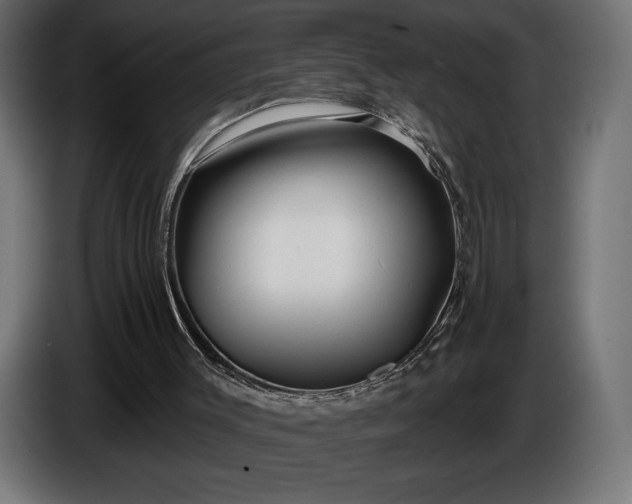 X0000086300003200704131619