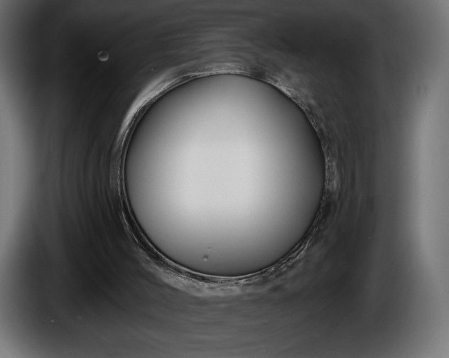 X0000086300004200704131619