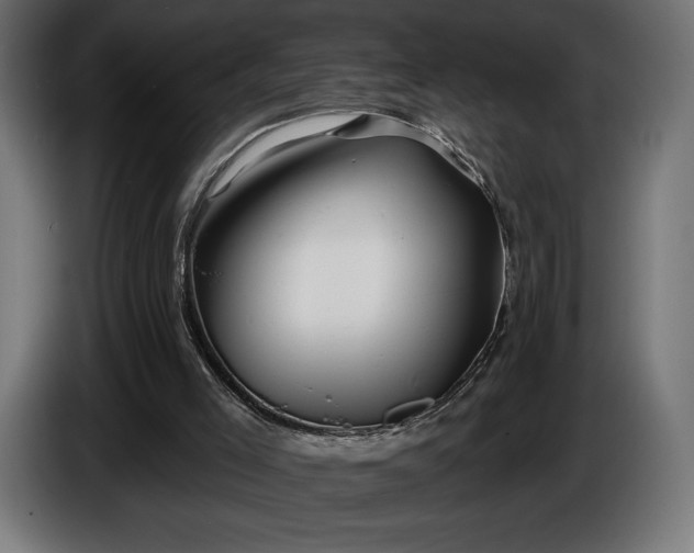 X0000086300005200704131619