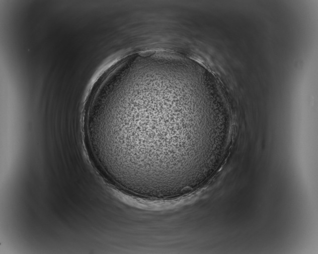 X0000086300006200704131619