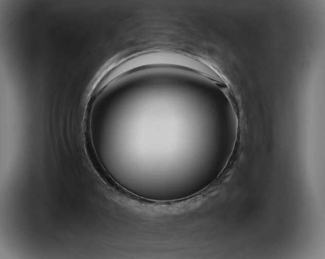 X0000086300007200704131619