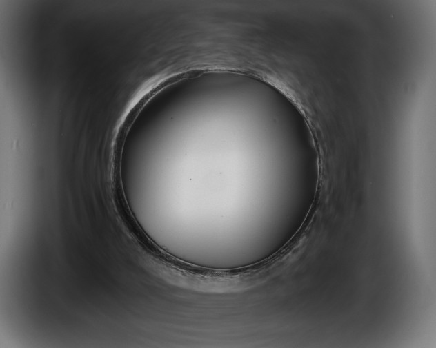 X0000086300008200704131619