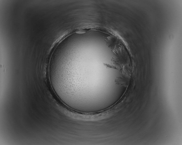 X0000086300010200704131619