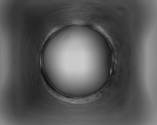 X0000086300011200704131619