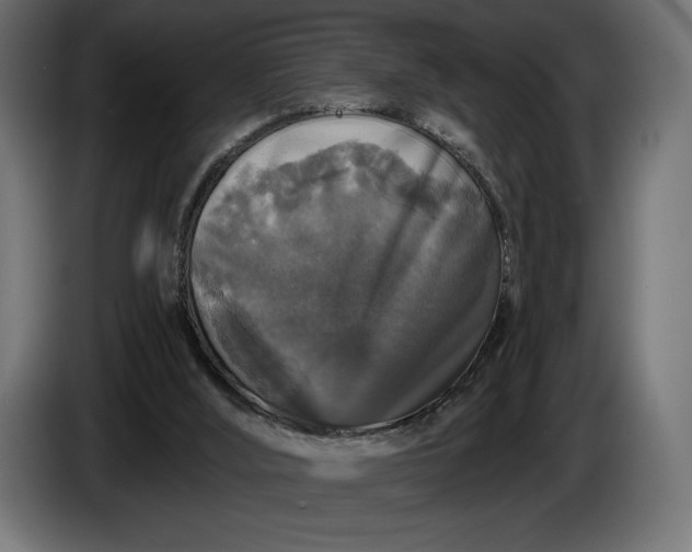 X0000086300012200704131619