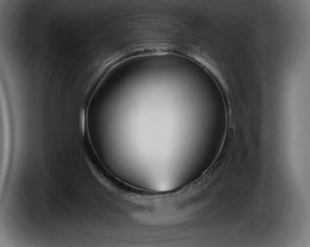 X0000086300013200704131619