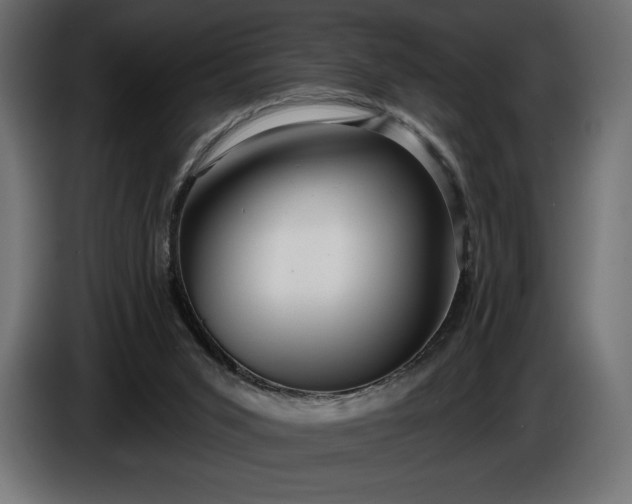 X0000086300015200704131619