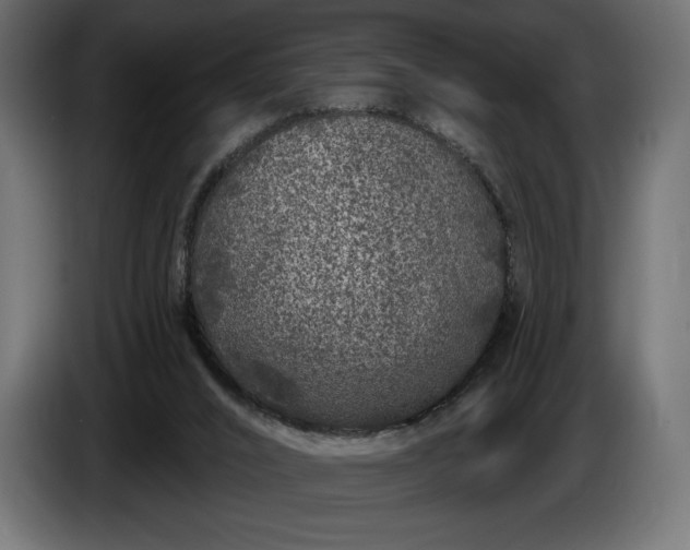 X0000086300016200704131619