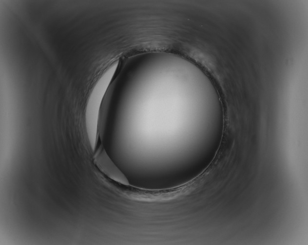 X0000086300017200704131619