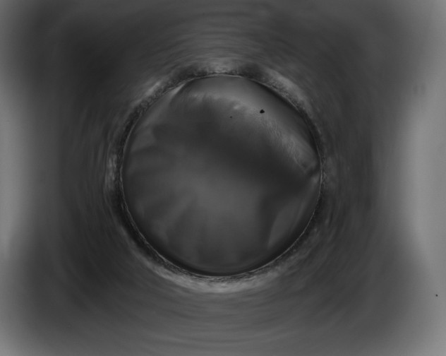 X0000086300018200704131619