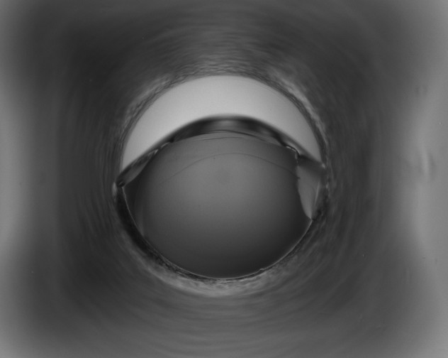 X0000086300019200704131619