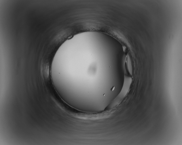 X0000086300021200704131619