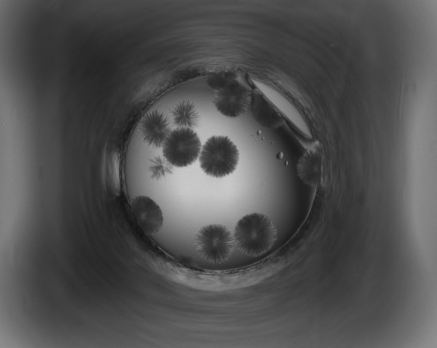 X0000086300022200704131619