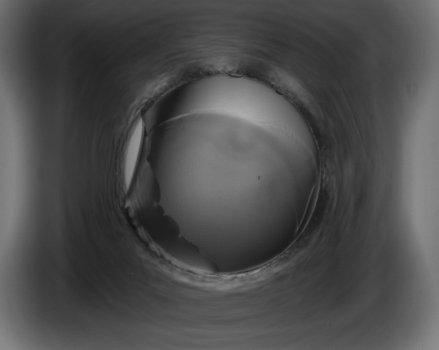 X0000086300023200704131619