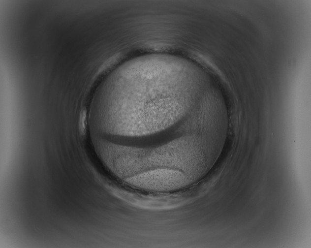 X0000086300024200704131619