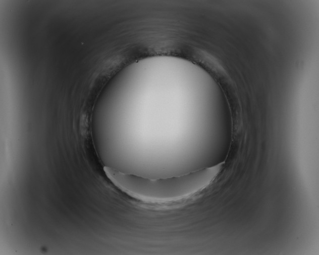 X0000086300025200704131619