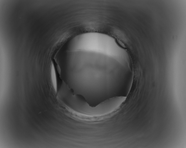 X0000086300027200704131619