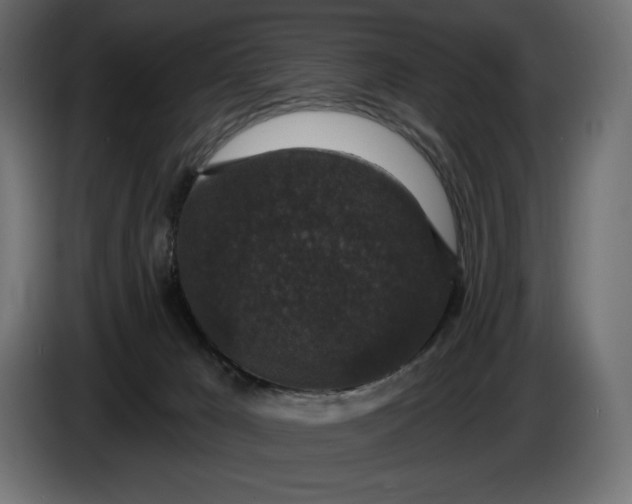 X0000086300029200704131619