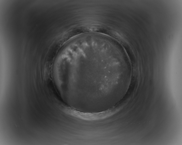 X0000086300030200704131619