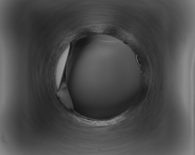 X0000086300031200704131619