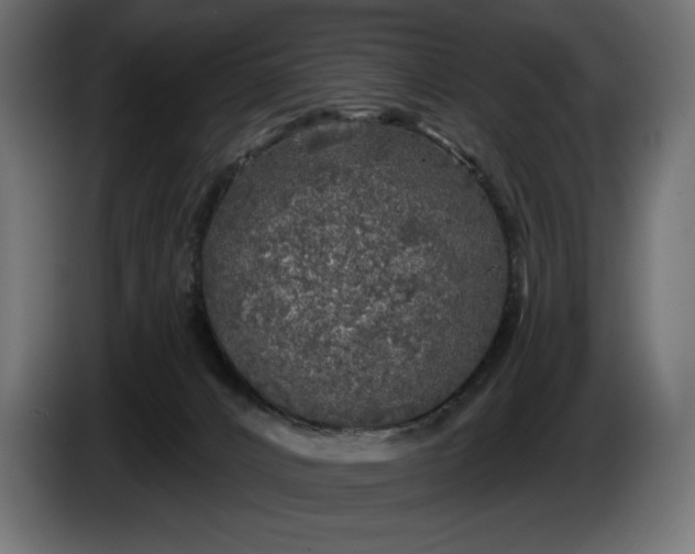 X0000086300032200704131619