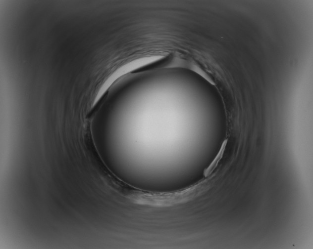 X0000086300033200704131619