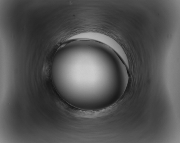 X0000086300037200704131619