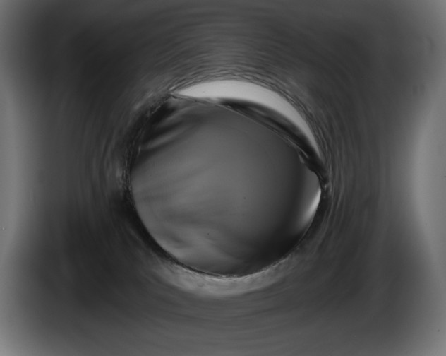 X0000086300039200704131619