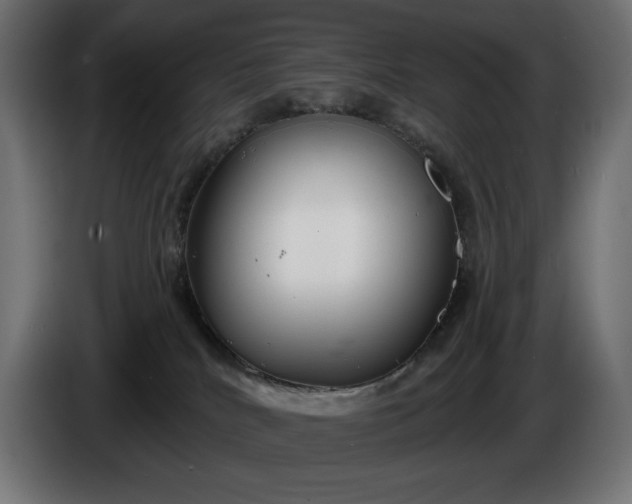 X0000086300040200704131619