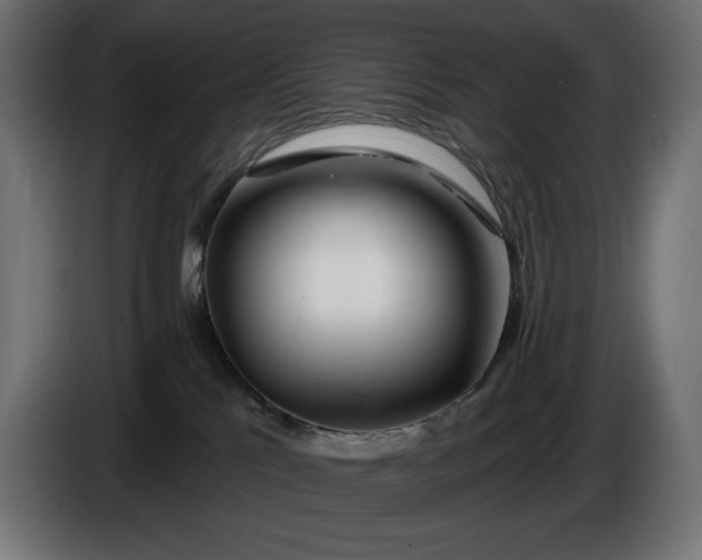 X0000086300041200704131619