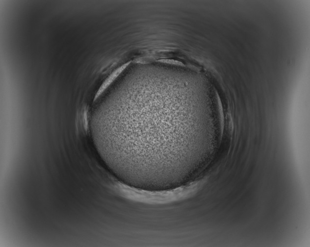 X0000086300042200704131619