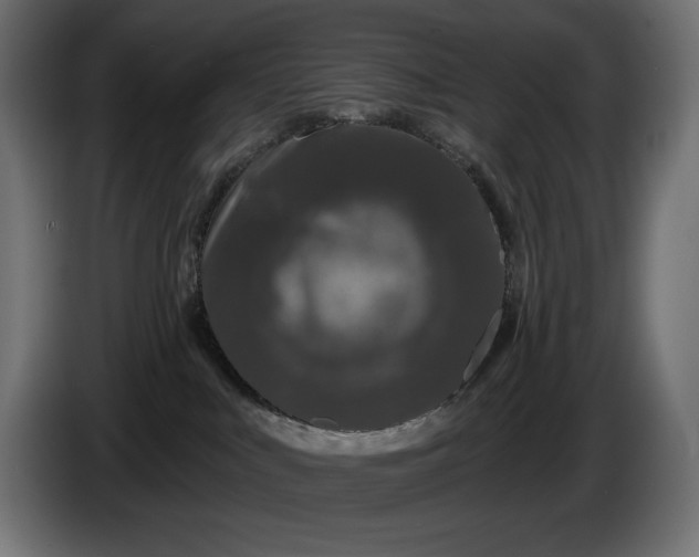 X0000086300043200704131619