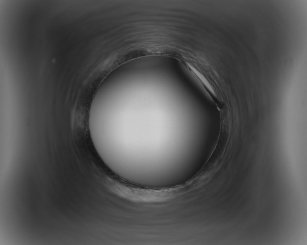 X0000086300044200704131619