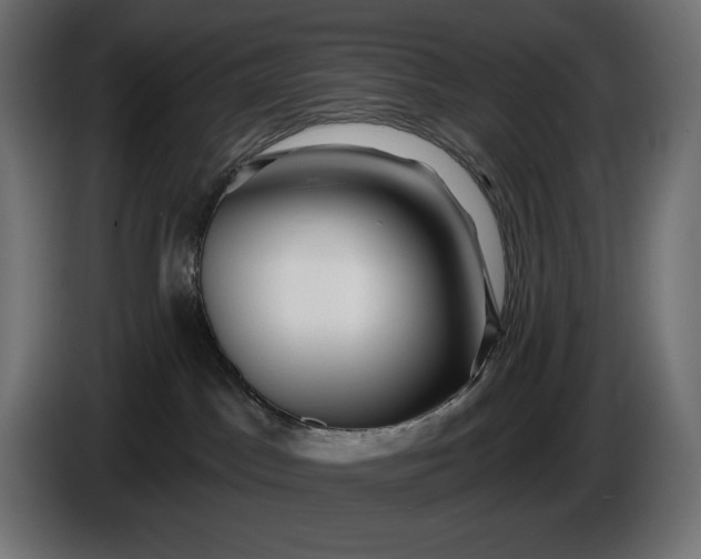 X0000086300045200704131619