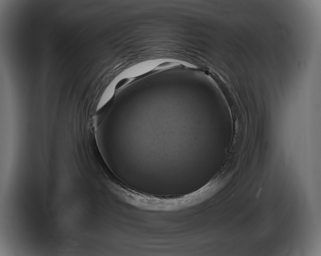 X0000086300048200704131619