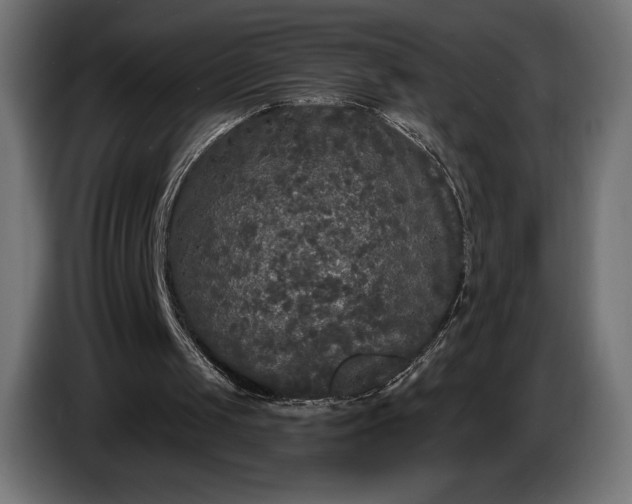 X0000086300049200704131618