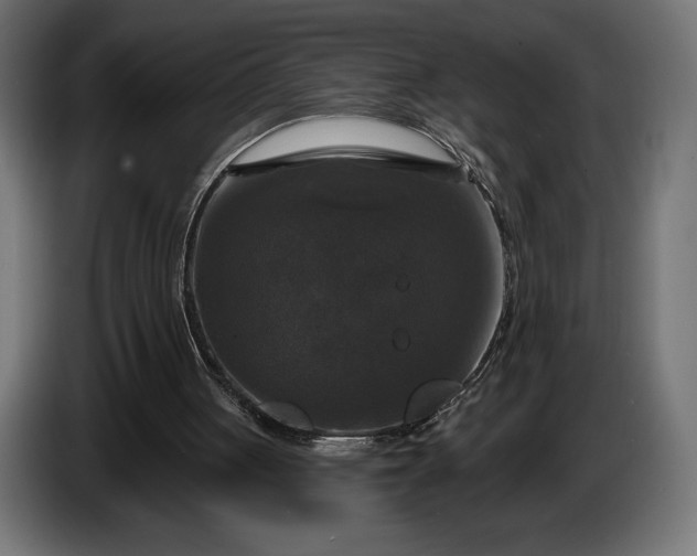 X0000086300051200704131618