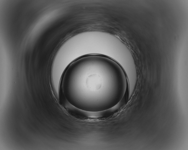 X0000086300052200704131618