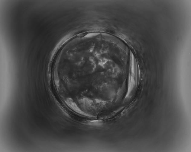 X0000086300053200704131618