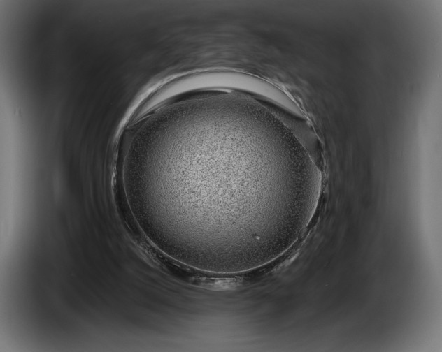 X0000086300056200704131618