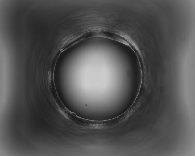 X0000086300057200704131618