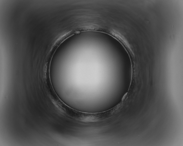 X0000086300058200704131618