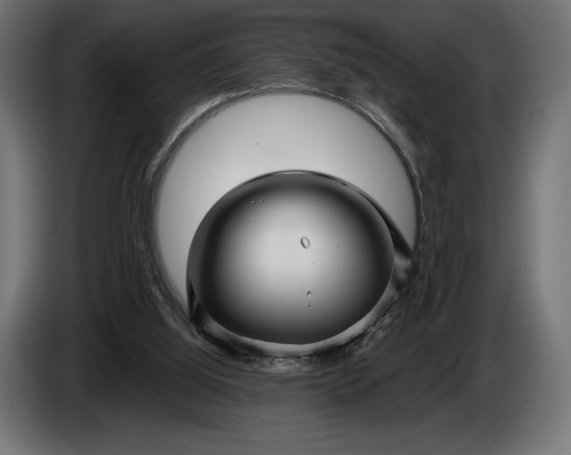 X0000086300060200704131618