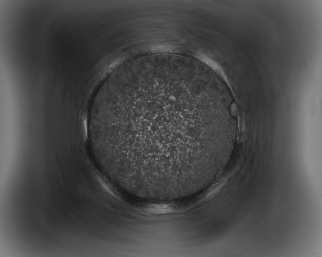 X0000086300061200704131618