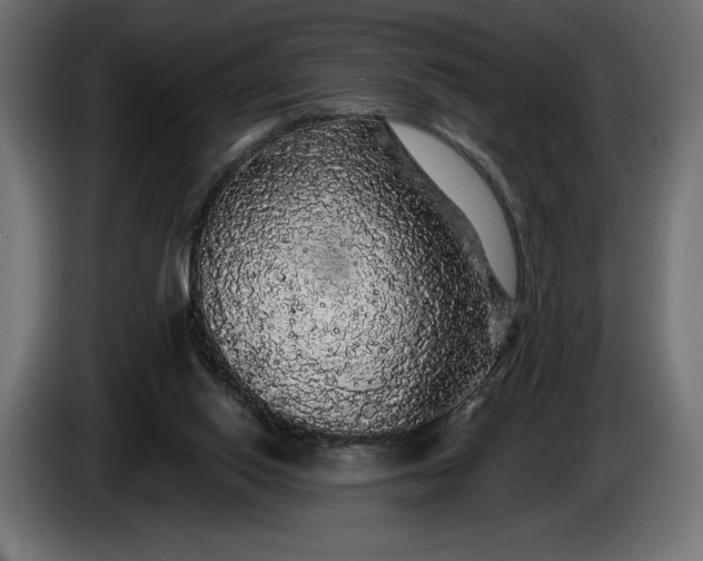 X0000086300062200704131618